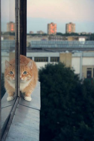 Niekedy vidíme čo chceme vidieť. Pravda? Polopravda? Klamstvo? Ilúzia.