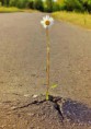 /album/galery/a1549558-633598873359914-739988389-n-jpg/