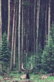 /album/galery/a1796997-595619267178891-1849887844-o-jpg/