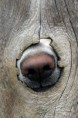 /album/galery/a1976953-757195227646207-108170637-n-jpg/