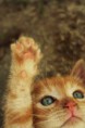/album/galery/a1977478-10152019897423386-285352901-n-jpg/